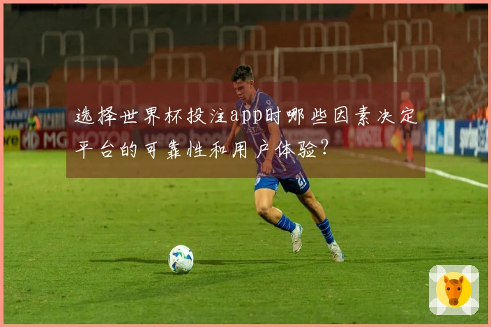 选择世界杯投注app时哪些因素决定平台的可靠性和用户体验？