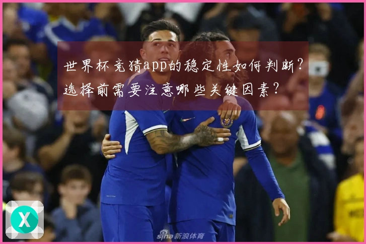 世界杯竞猜app的稳定性如何判断？选择前需要注意哪些关键因素？