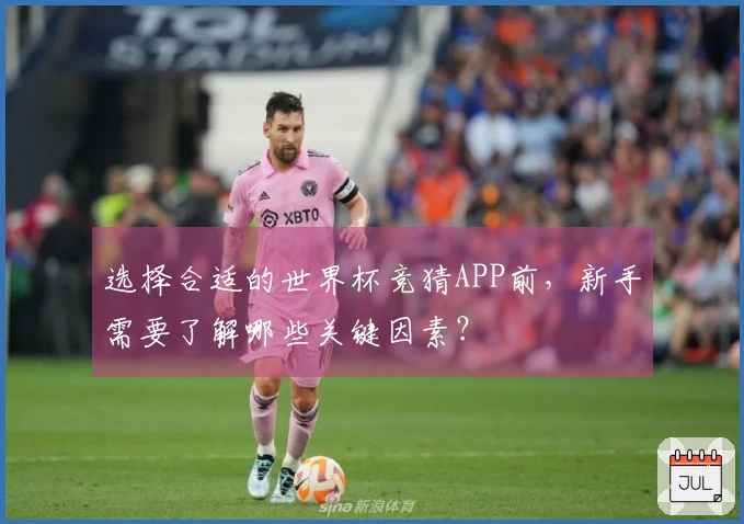 选择合适的世界杯竞猜APP前，新手需要了解哪些关键因素？