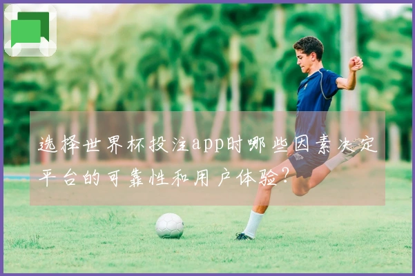 选择世界杯投注app时哪些因素决定平台的可靠性和用户体验？