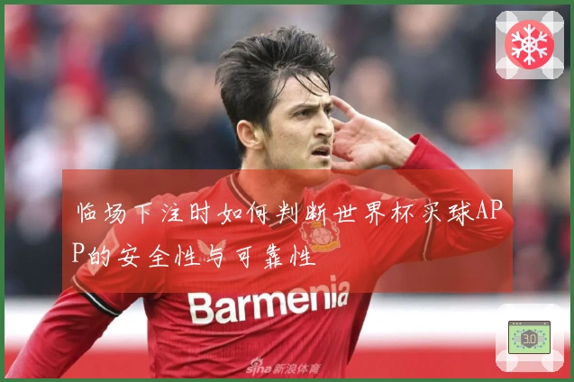临场下注时如何判断世界杯买球APP的安全性与可靠性