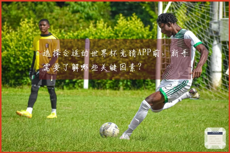 选择合适的世界杯竞猜APP前，新手需要了解哪些关键因素？
