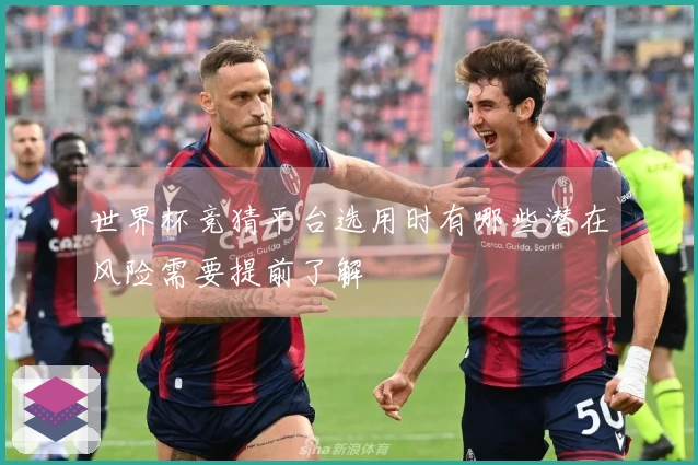 世界杯竞猜平台选用时有哪些潜在风险需要提前了解